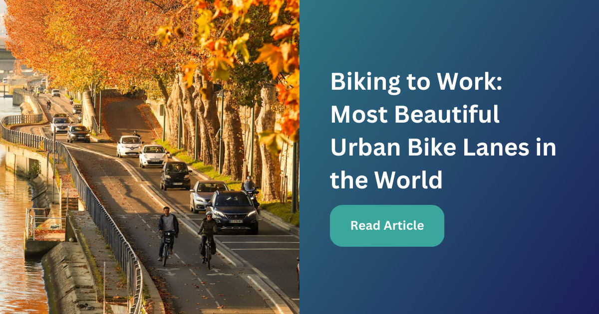 Biking to Work The Best Urban Bike Lanes in the World Factual