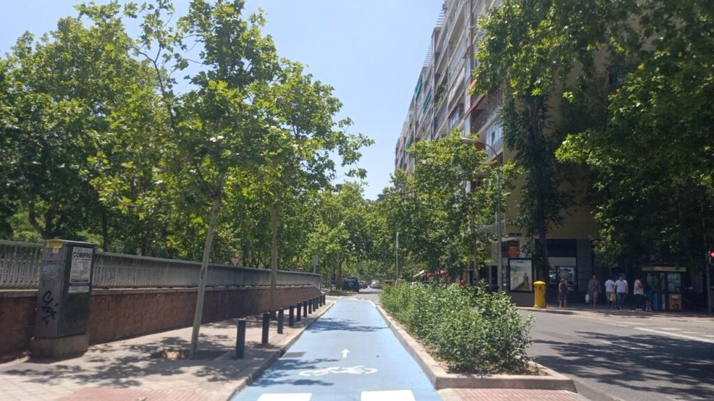 Cycling Lane in Madrid