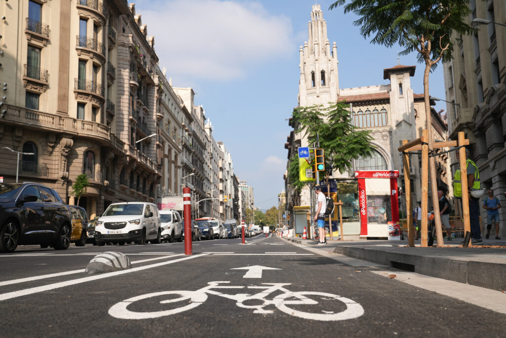 Bike Lane in Barcelona